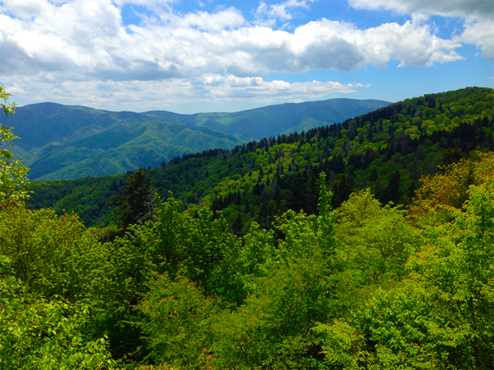 Discover Pigeon Forge: A Hidden Gem in the Smoky Mountains